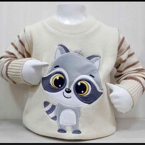 Baby Boy Sweater (Adorable  Raccoon ) Clothes 0-3 / 2-4 Months